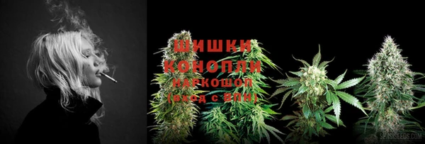 стафф Медвежьегорск
