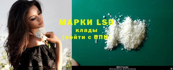 стафф Медвежьегорск