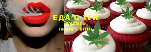 хмурый Мегион