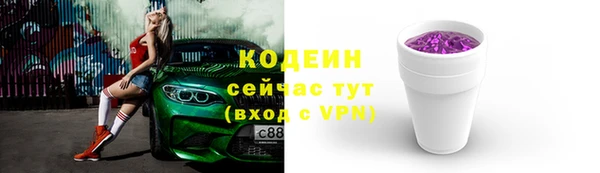 дурь Каменка