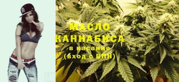 хмурый Мегион