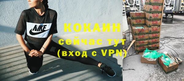 хмурый Мегион