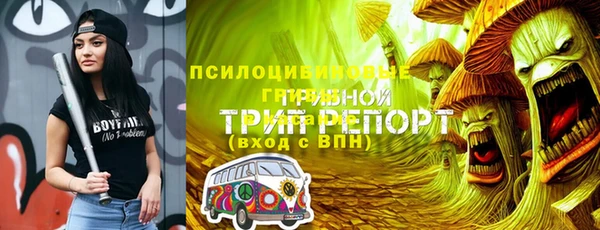 стафф Медвежьегорск