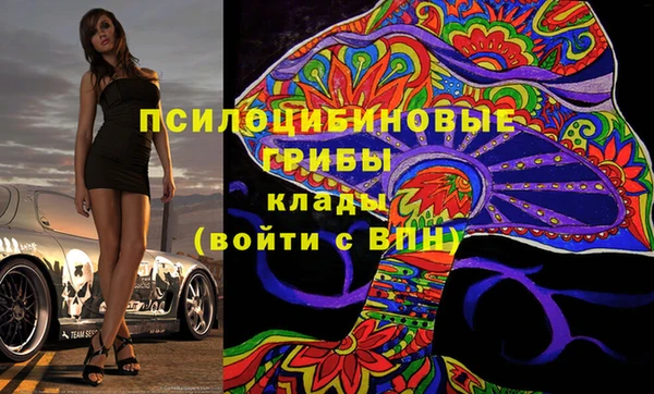 хмурый Мегион