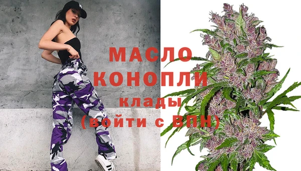 хмурый Мегион