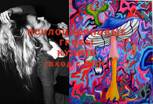 стафф Медвежьегорск