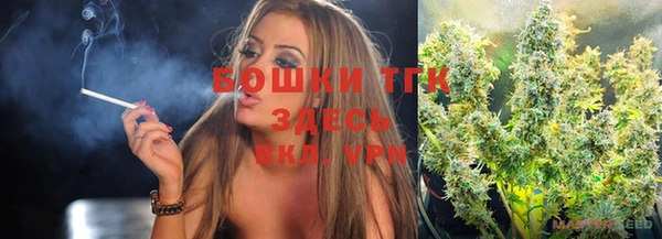 хмурый Мегион