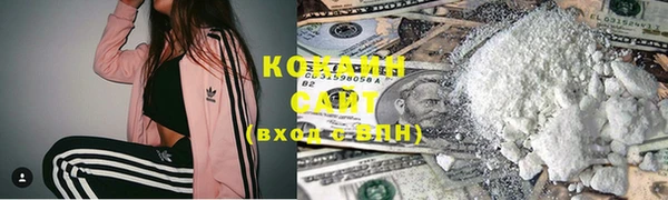 хмурый Мегион