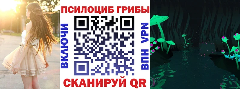 Псилоцибиновые грибы Cubensis закладки Кировск