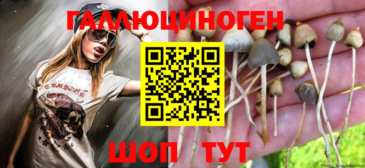 Кировск  Псилоцибиновые грибы прущие грибы  цена наркотик  Вход с VPN 